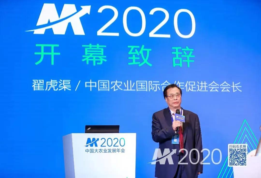 元一智库铁丁老师受邀在2020中国大农业发展年会作报告