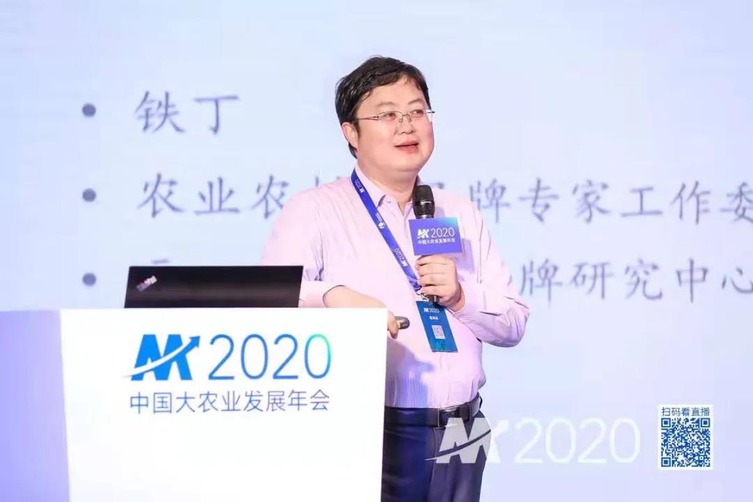 元一智库铁丁老师受邀在2020中国大农业发展年会作报告